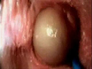internal vagina sex